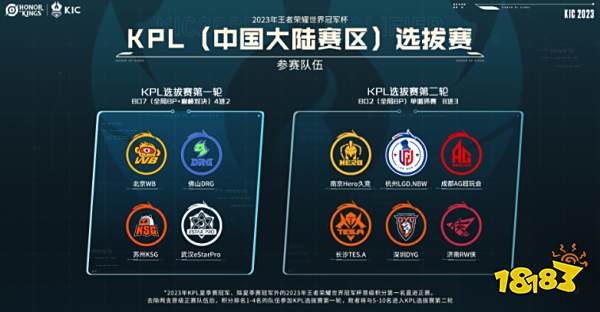 在这个领域 在这个领域